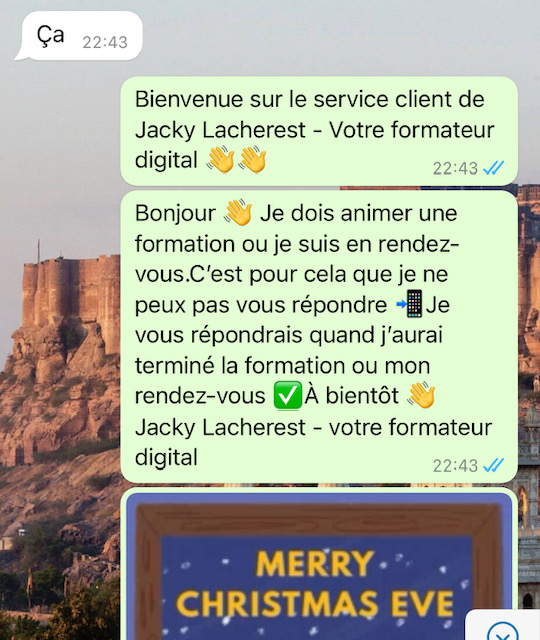 Pourquoi utiliser WhatsApp Business ?